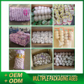 Sinofarm 2021 new crop China/Chinese Wholesale Exports China Cheap fresh White Garlic normal white 10 Kg mesh package 6cm garlic